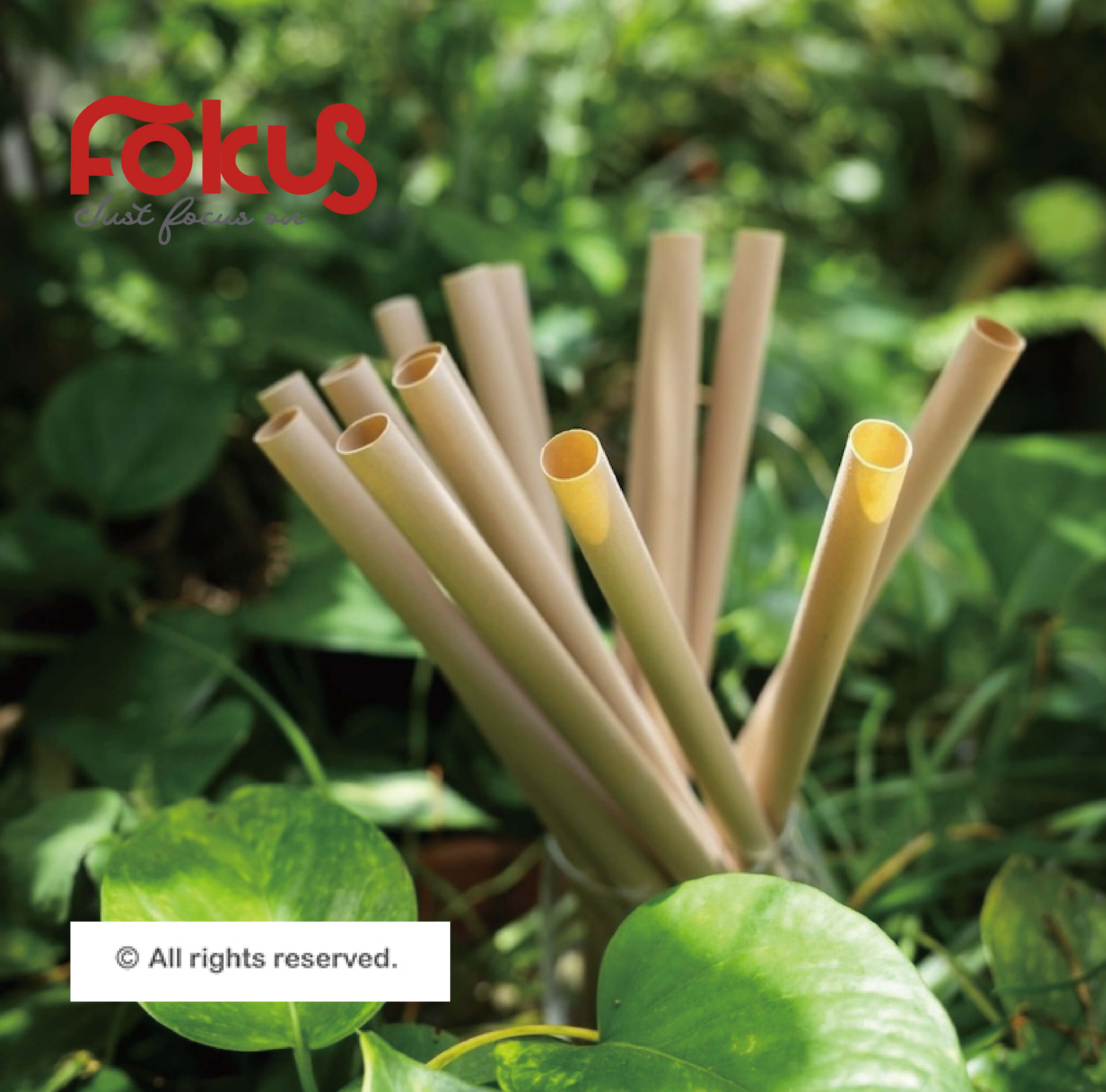 Home Compost Series - Tea Fiber Straws